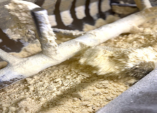 麺作りのこだわり【設備】