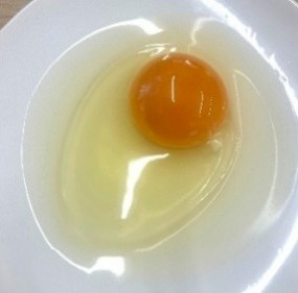 白身が真っ白いです。いつも透明なので異常卵ですか